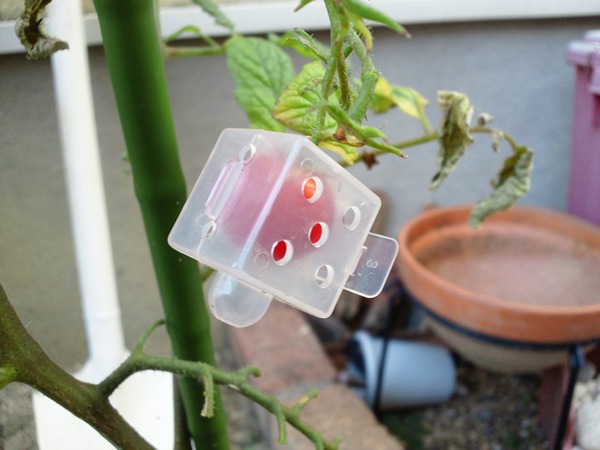 クリックしてね