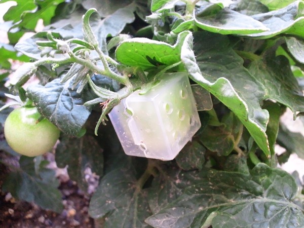 クリックしてね