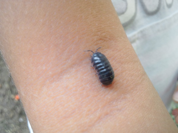 クリックしてね