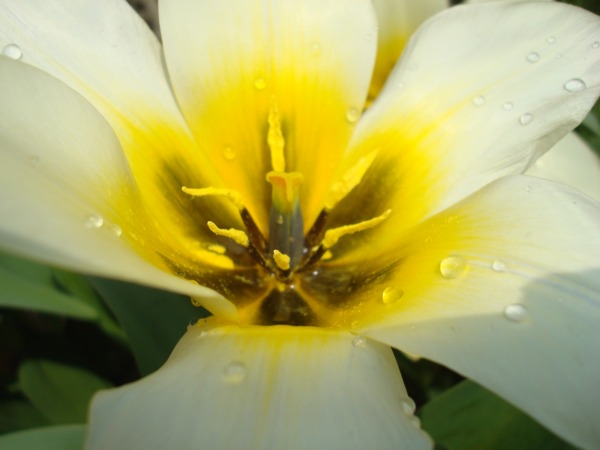 クリックしてね